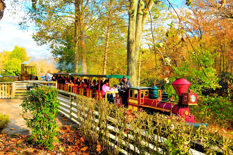 The train at halloween