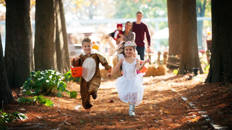 Untitled design - 4 Picture of wooden cutout Ghost