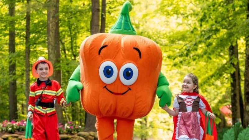 Performers in Halloween show