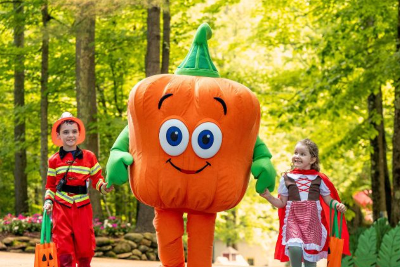 Performers in Halloween show