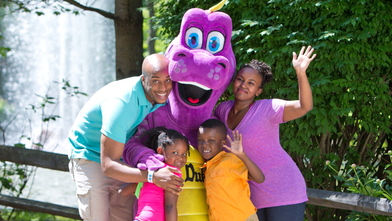Guests enjoying the park