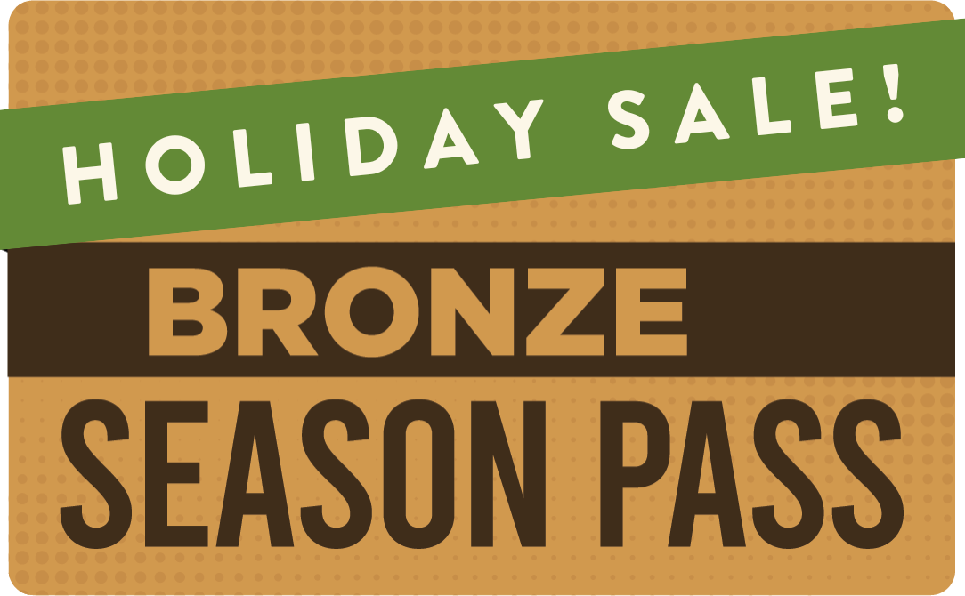 Silver Season Pass Opening Sale